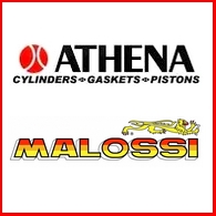 kit Athena / Malossi